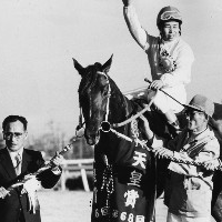 20世紀の名馬100選【DVD】