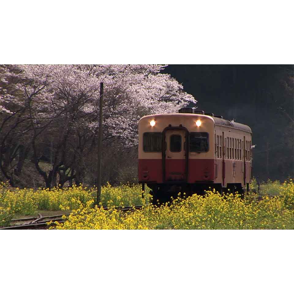 感動の美景鉄道/春夏秋冬【DVD】
