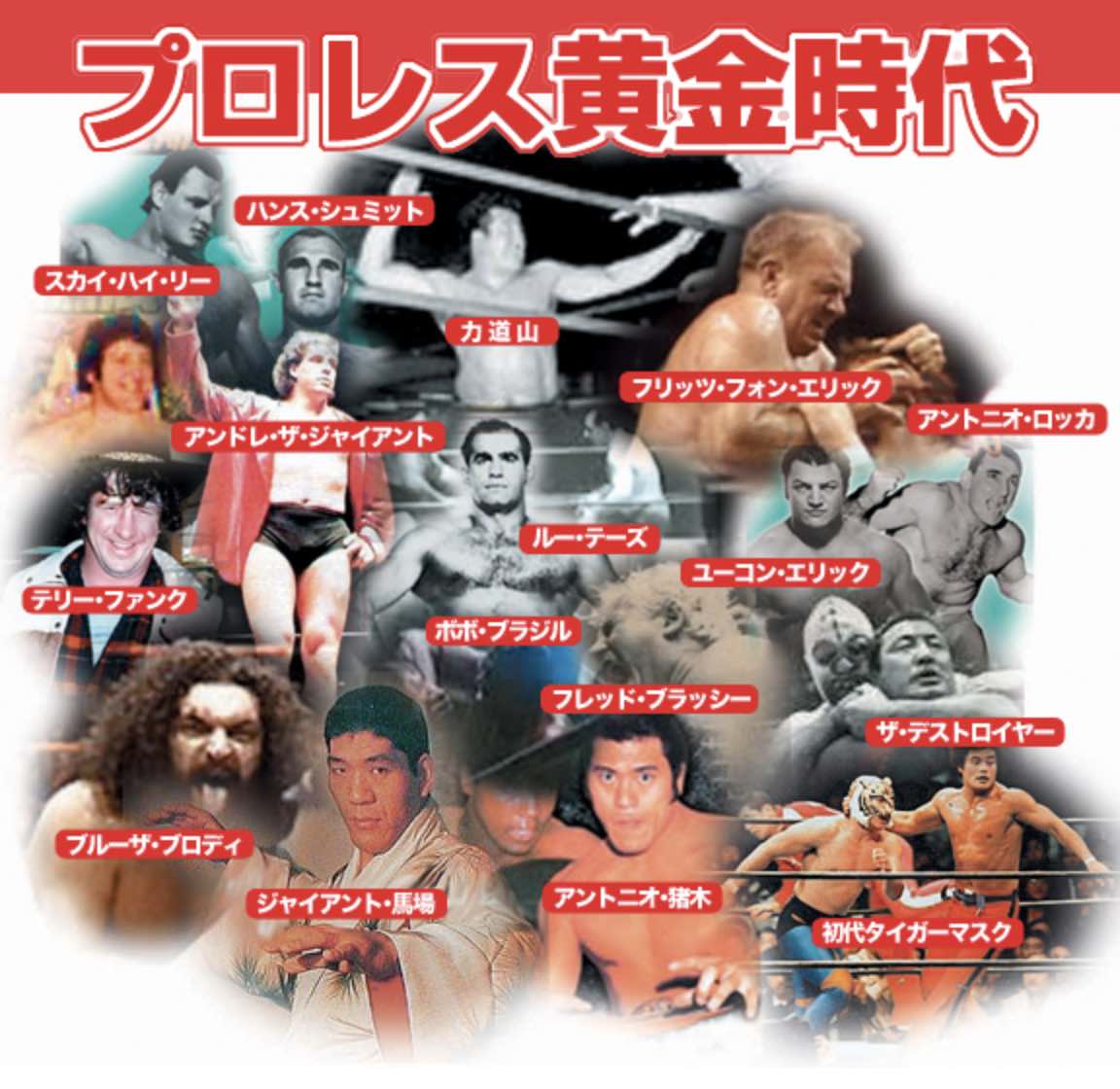 伝説のプロレス大全集【DVD】